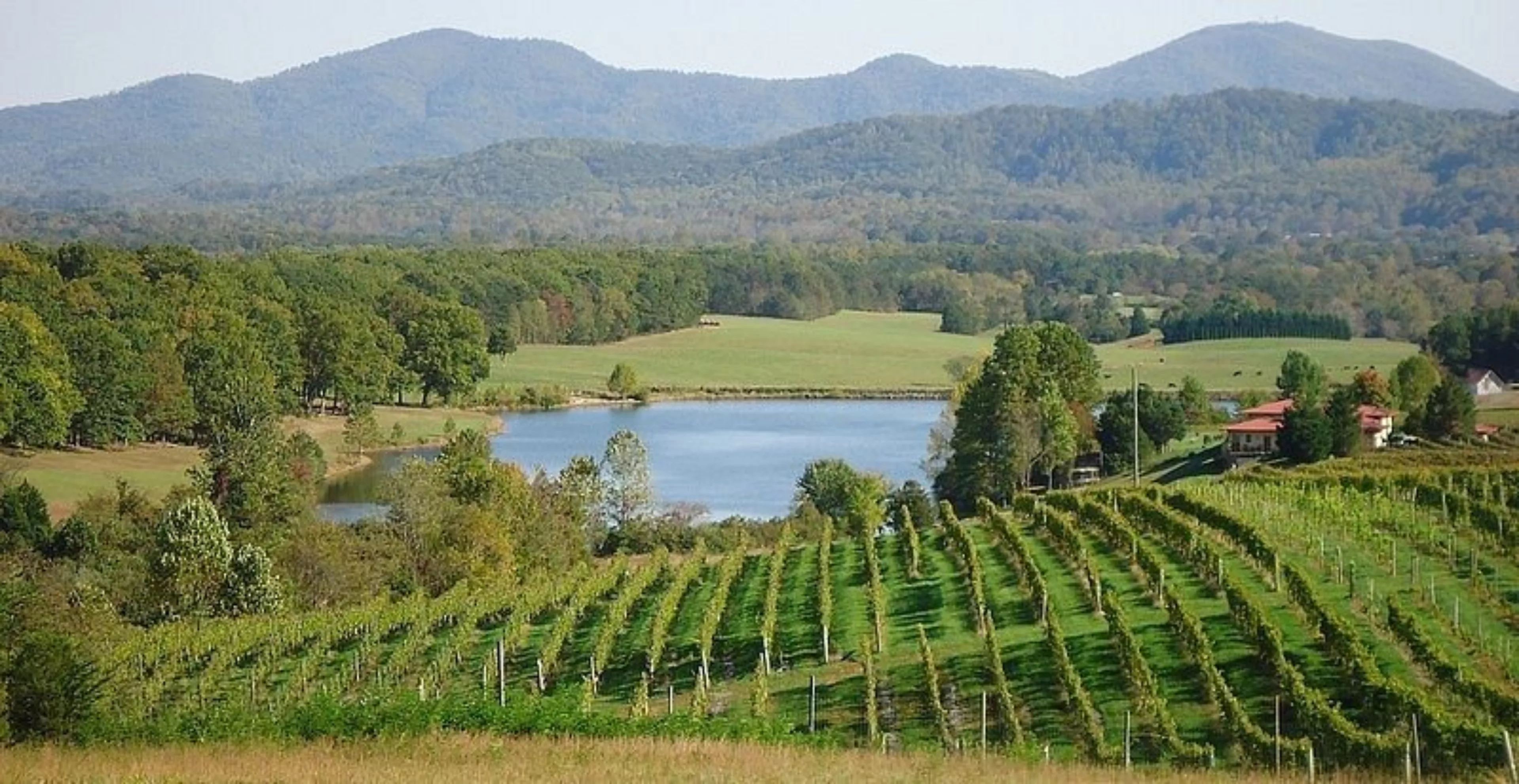 Afton mountain vineyards