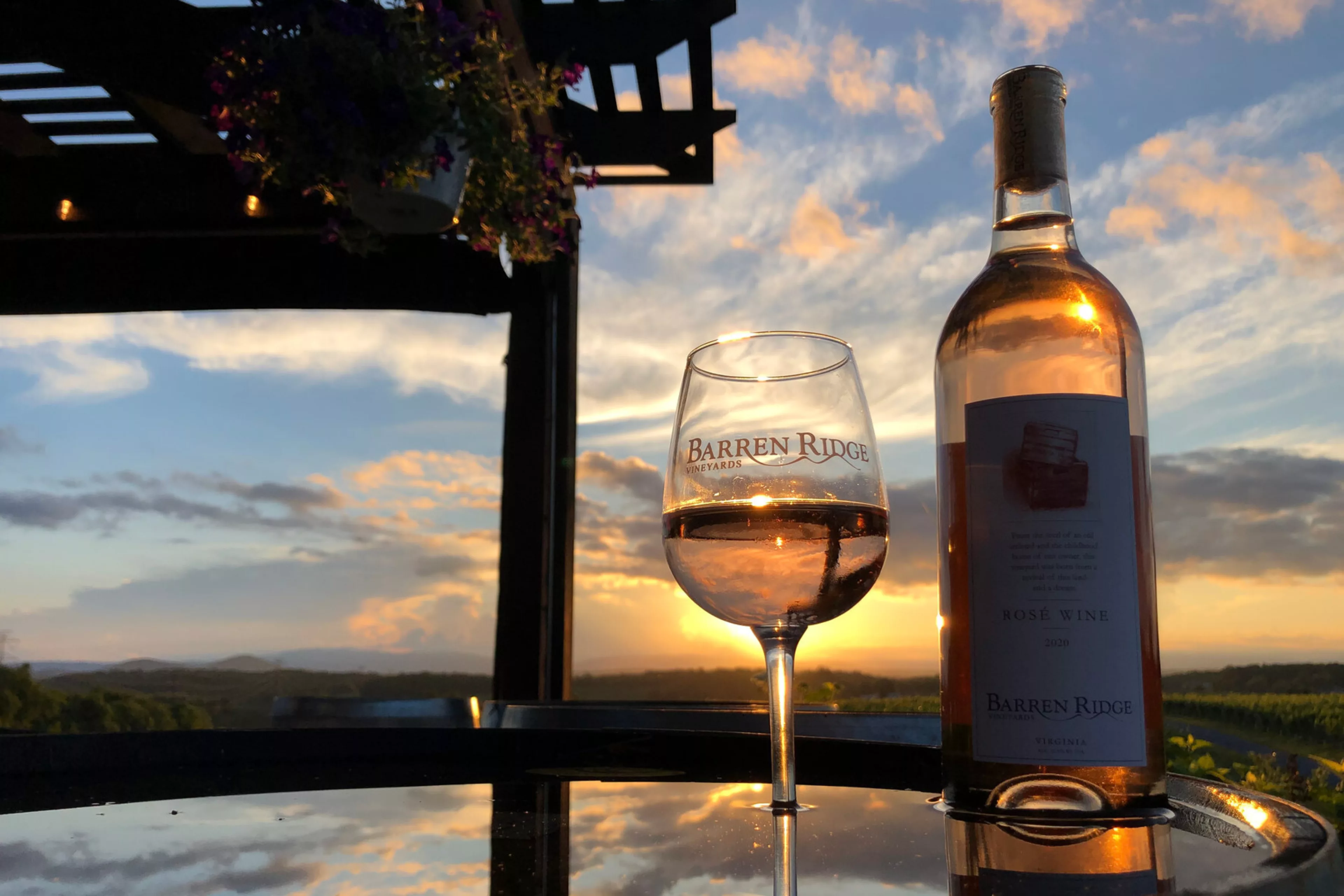 Barren ridge vineyards