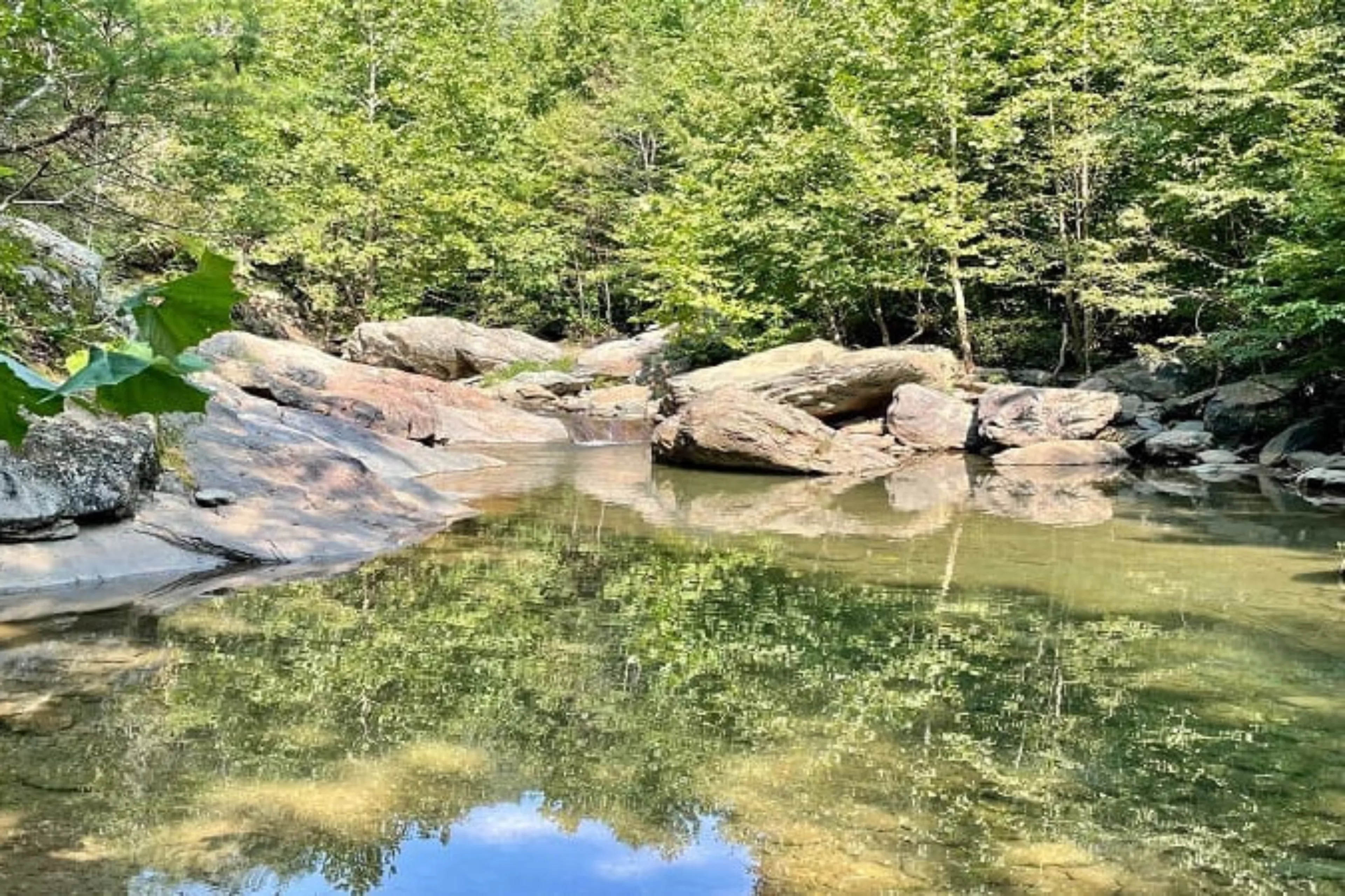 Moormans river trailheads