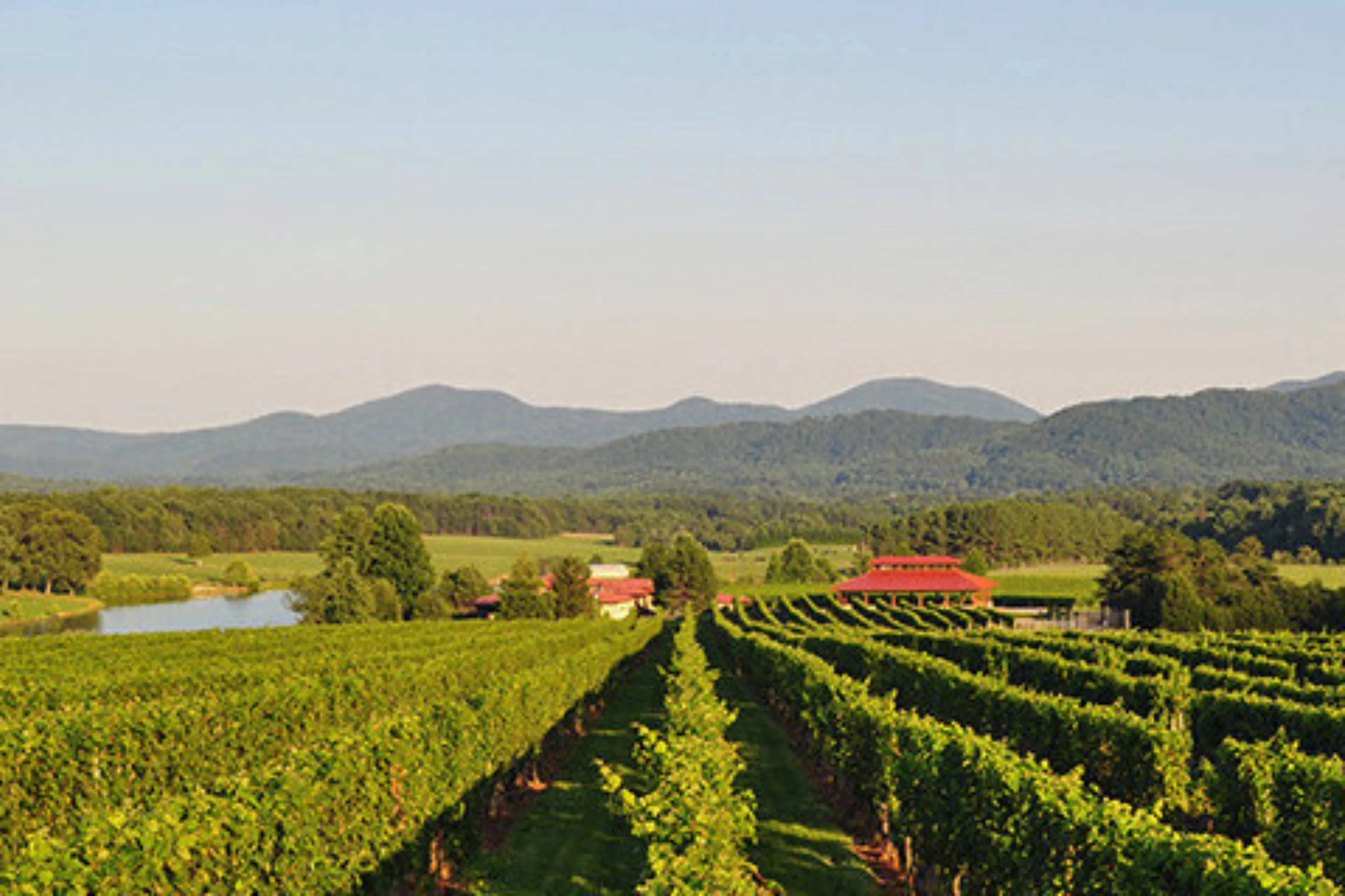 Afton mountain vineyards